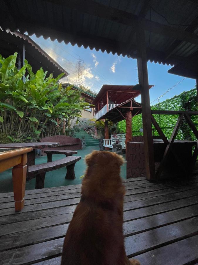 Dreams Lodge Orosi Cartago Dış mekan fotoğraf
