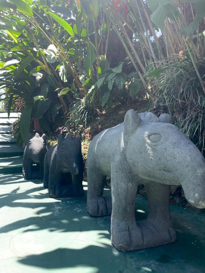 Dreams Lodge Orosi Cartago Dış mekan fotoğraf