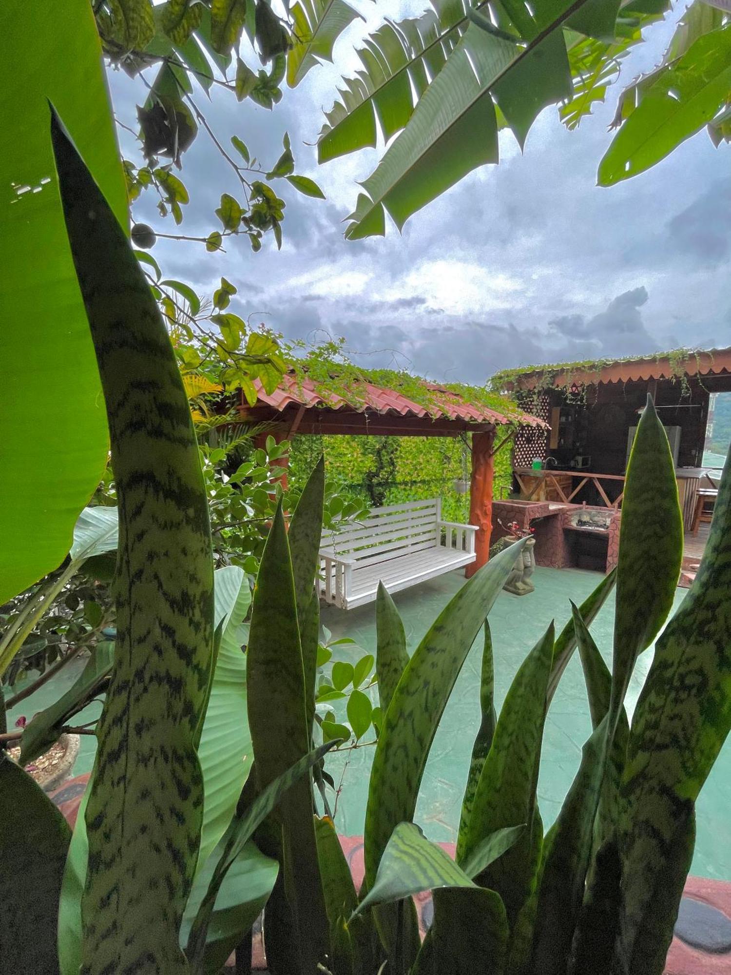 Dreams Lodge Orosi Cartago Dış mekan fotoğraf