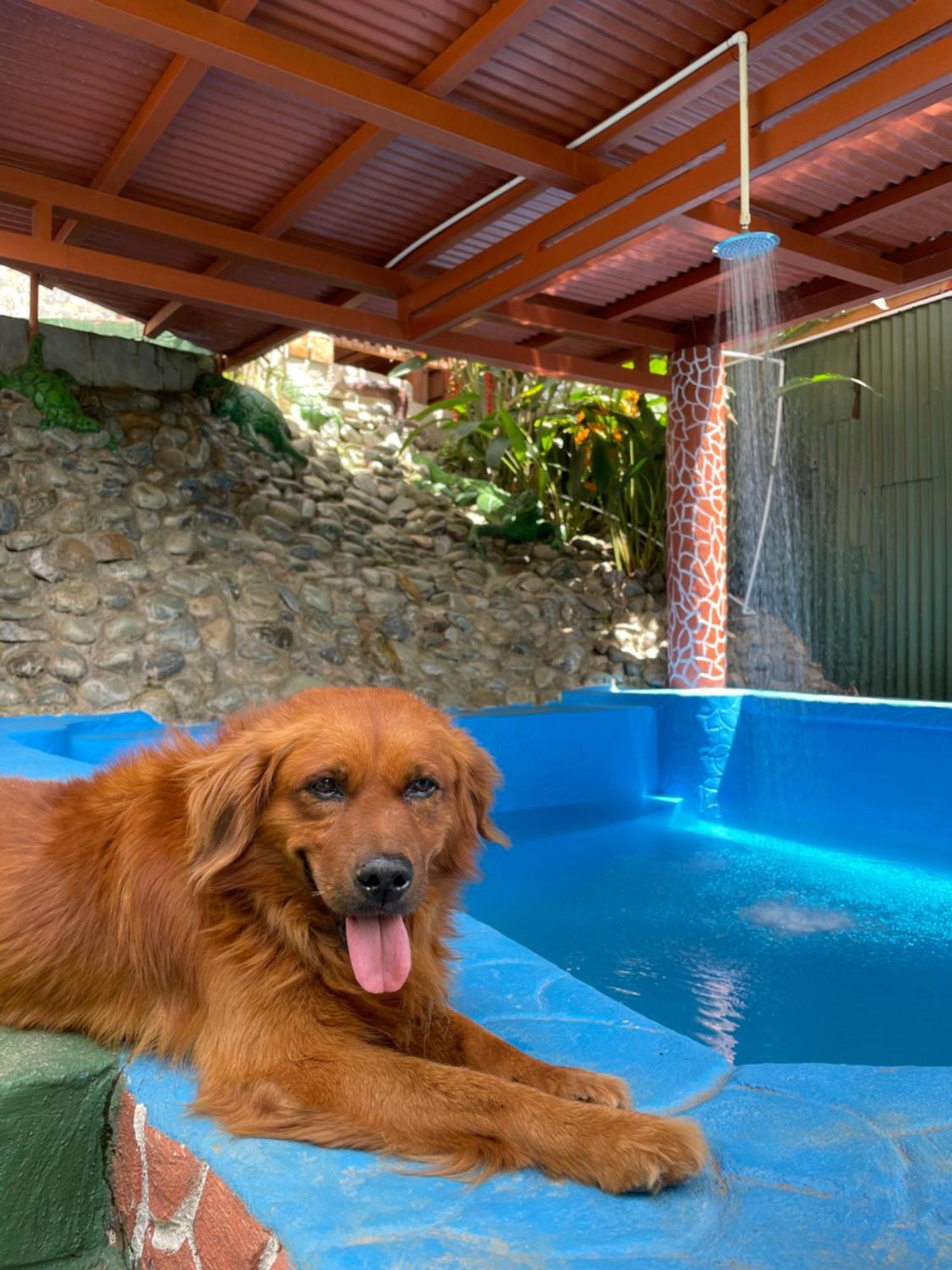 Dreams Lodge Orosi Cartago Dış mekan fotoğraf